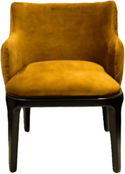 Bamboa